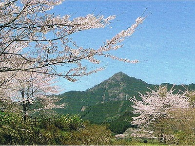 津地域ガイド紹介