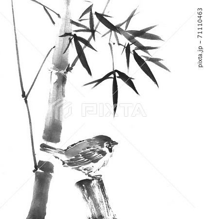 竹に雀のイラスト素材 [71110463] - PIXTA