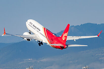 B-206Z Shenzhen Airlines Boeing 737 MAX 8 | Planespotters.net