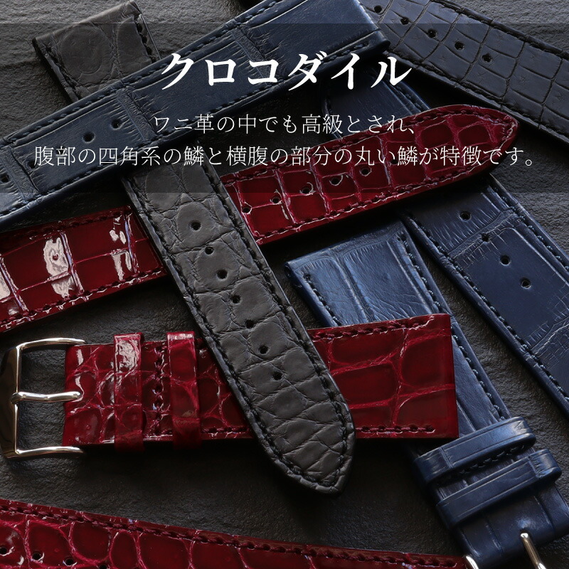 楽天市場】時計 ベルト クロコダイル クロコ Dバックル付き バックル