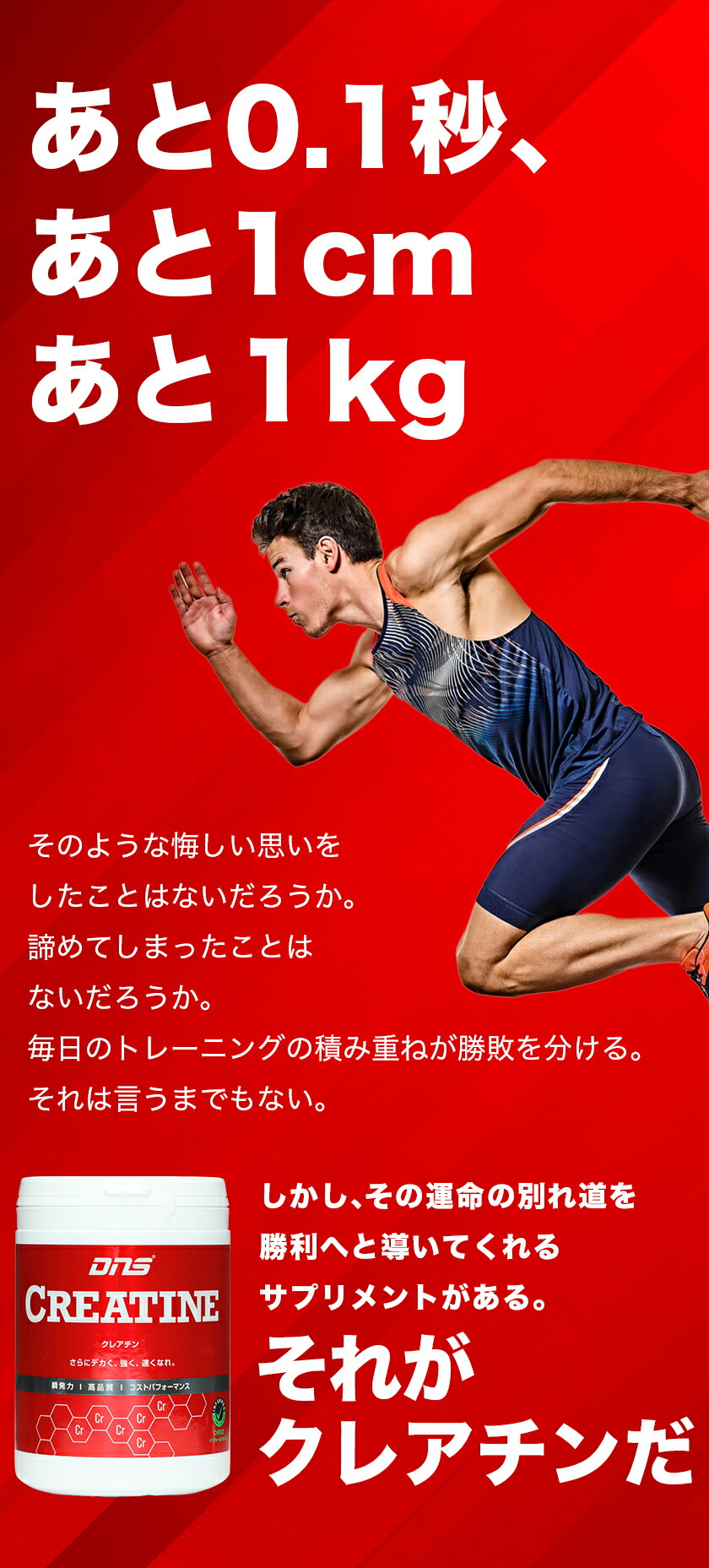 楽天市場】【25%OFF！11日1:59まで】クレアチン モノハイドレート