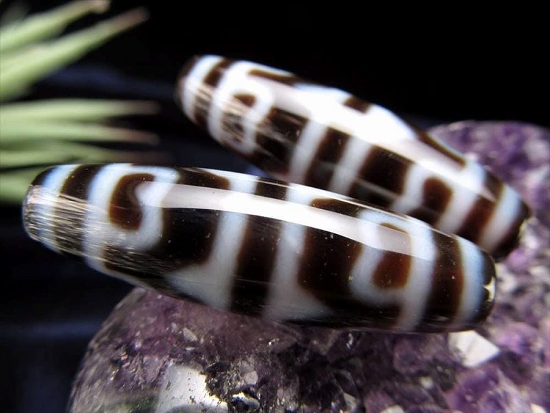 楽天市場】【全品P5倍】○A至純天珠 虎牙蓮花天珠(こがれんかてんじゅ