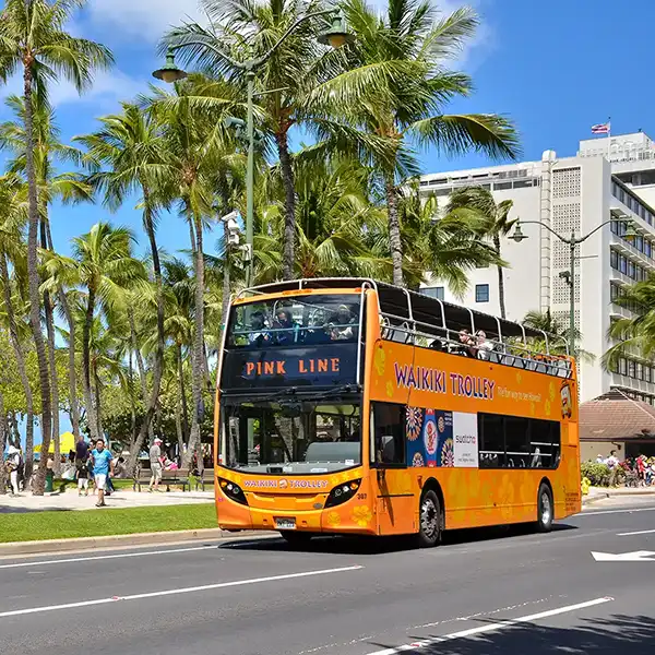 ワイキキトロリー・ピンクライン: アラモアナ・ショッピング