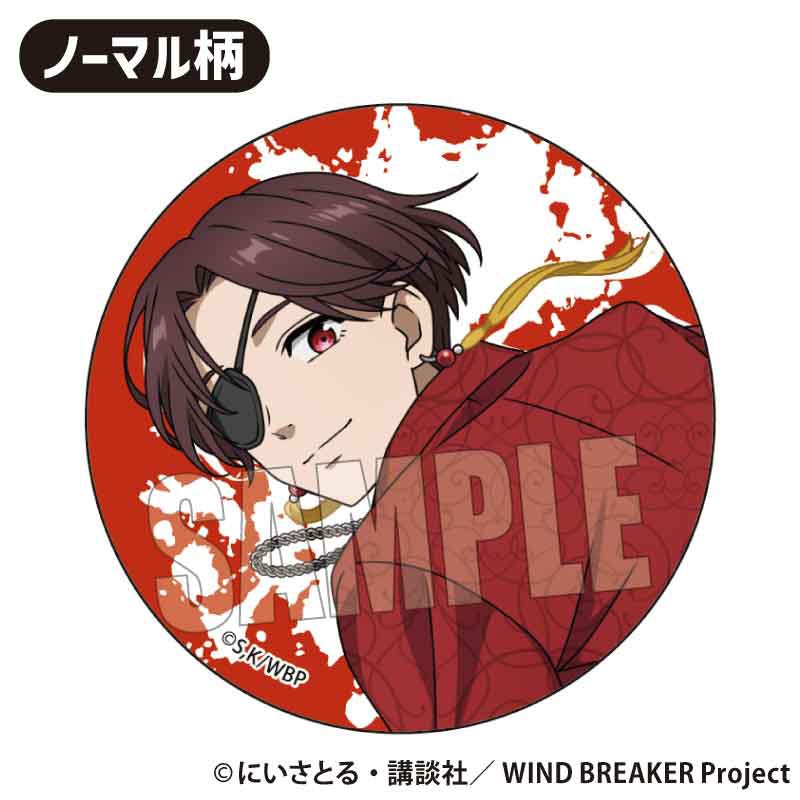 ☆特価品 WIND BREAKER トレーディング缶バッジ スケーターver. (6個