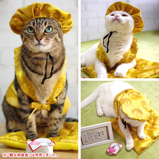 ゴロにゃんオリジナル 猫服 豪華長寿服セット 雲柄白金 (35695) ( 豪華