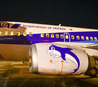 Thanks for 25 Years! First Retirement Event for the Boeing 737-500