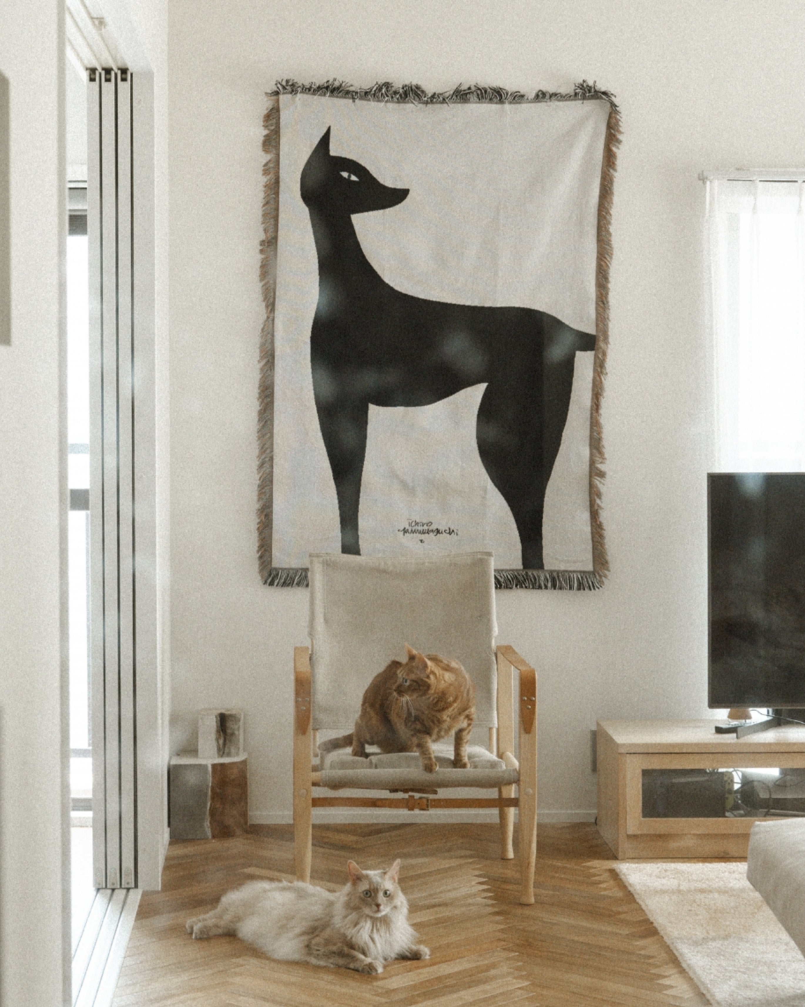 山口一郎 / blanket “kuro neko” | 猫と暮らす部屋に、上質なアートを