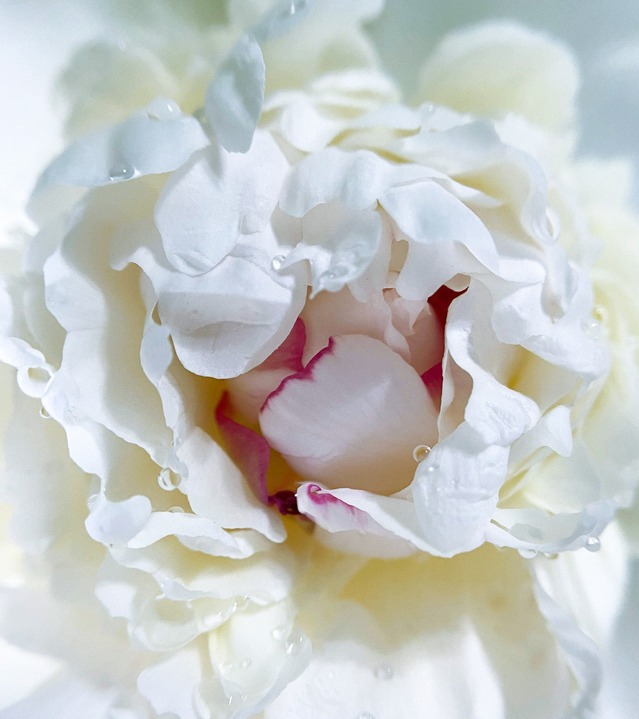 Chinatown Scented Candle | Bond No. 9 New York