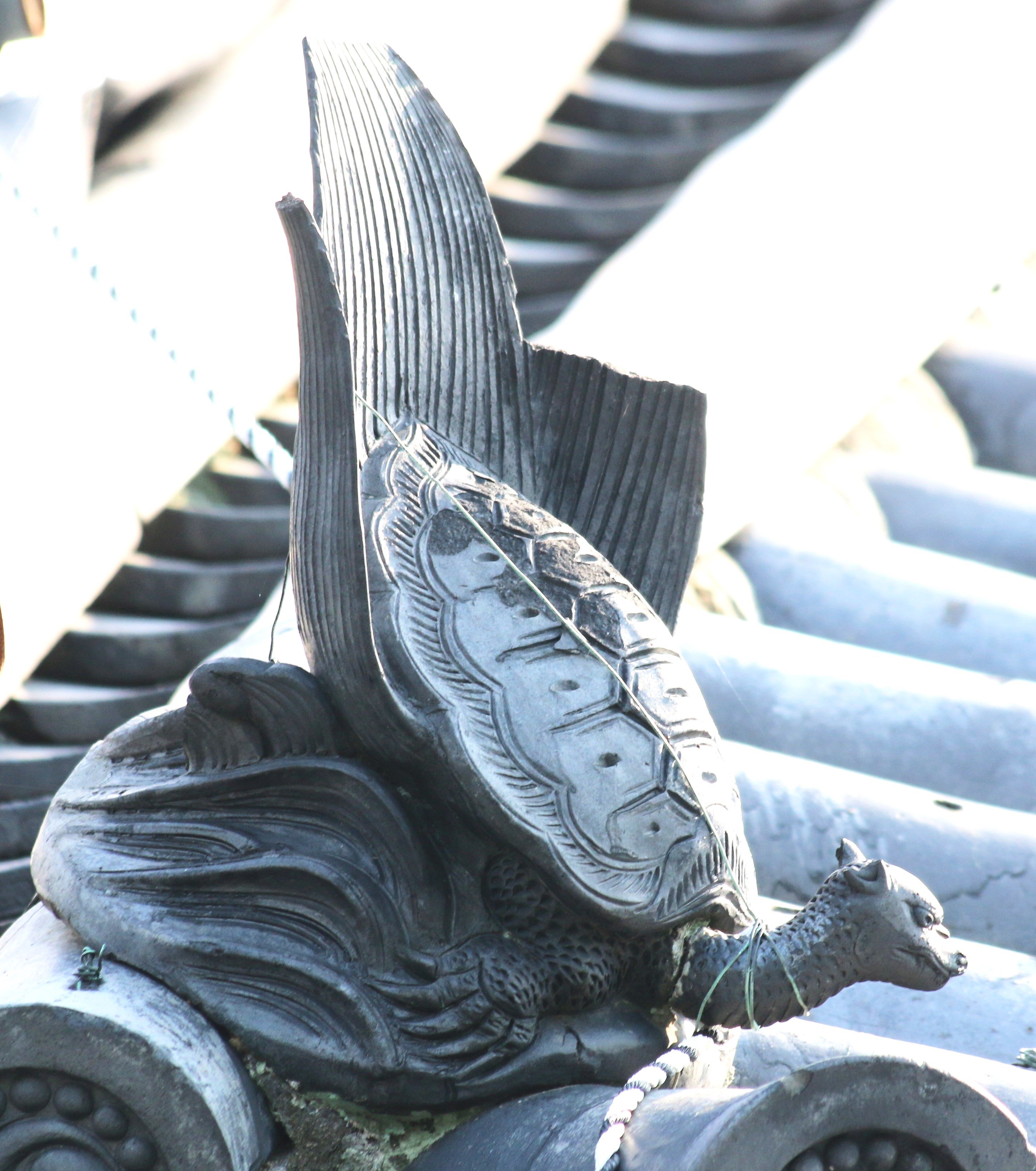 縁起物の蓑亀（みのかめ）です。瓦屋根では全国でよく見かけます