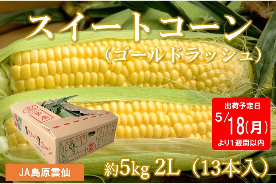 予約販売】〈約5kg/2L(13本入)〉スイートコーン（ゴールドラッシュ）※5