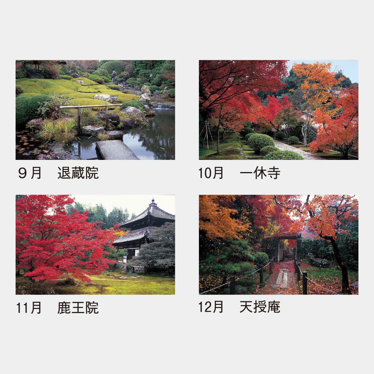 YG-4 四季の庭2026年版の名入れカレンダーを格安で販売 - 名入れ