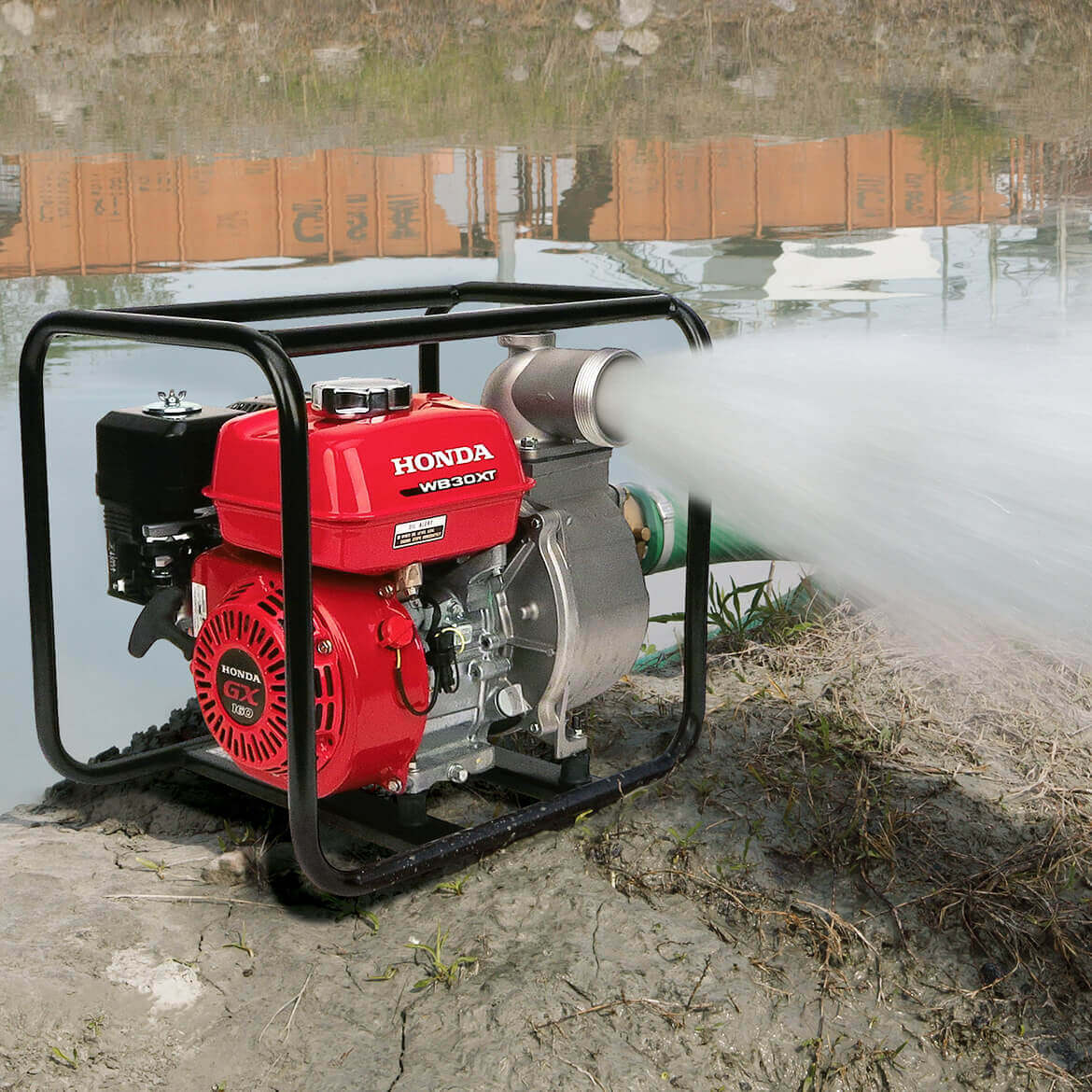 ポーマンダex HP160 水タイプ HZR90_Angled-Photoroom-