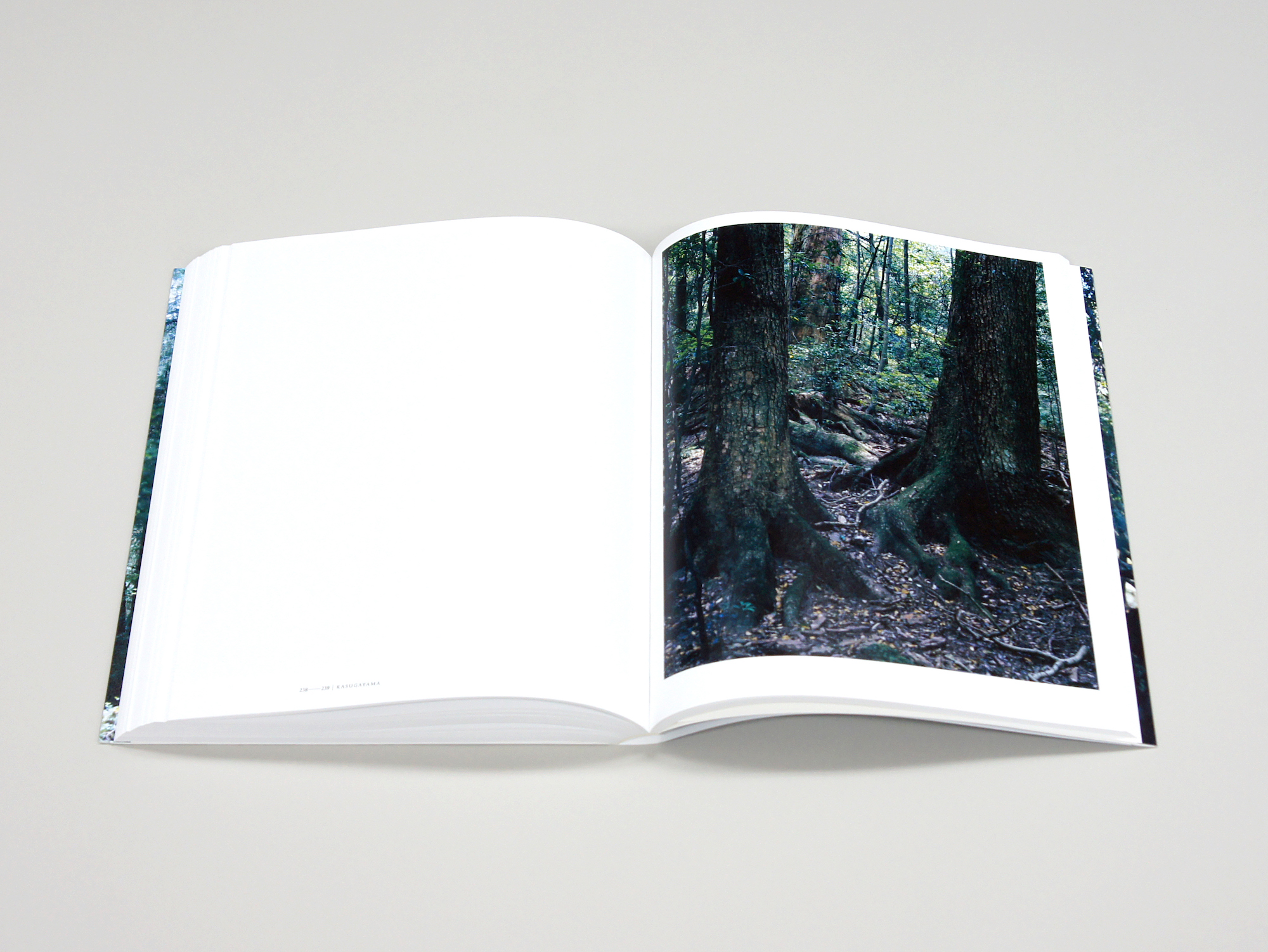 上田義彦写真集 FOREST 印象と記憶 1989-2017｜青幻舎 SEIGENSHA Art