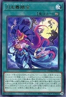 神芸学徒 ファインメルト【遊戯王トレカお買得価格通販：CBトレコロ】