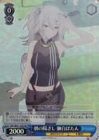 未来へ一緒に 星街すいせい【ヴァイスシュヴァルツトレカお買得価格