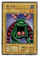 ホーリー・ドール【遊戯王トレカ高価買取価格査定：CBトレコロ】