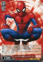 ヴァイス 地球生まれ銀河育ち スター・ロード RR 4枚 WS】地球生まれ