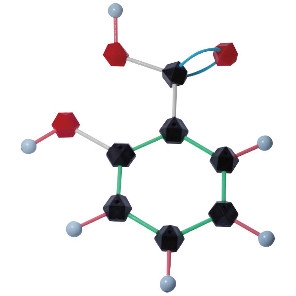 UCHIDASウチダスHGS分子構造模型 有機化学 学生用セット: 理科