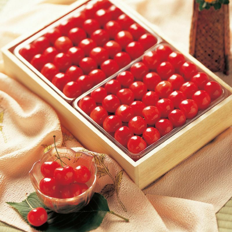 農林水産大臣賞 佐藤錦 職人詰め・木箱 Lサイズ1.2kg 山形さくらんぼ