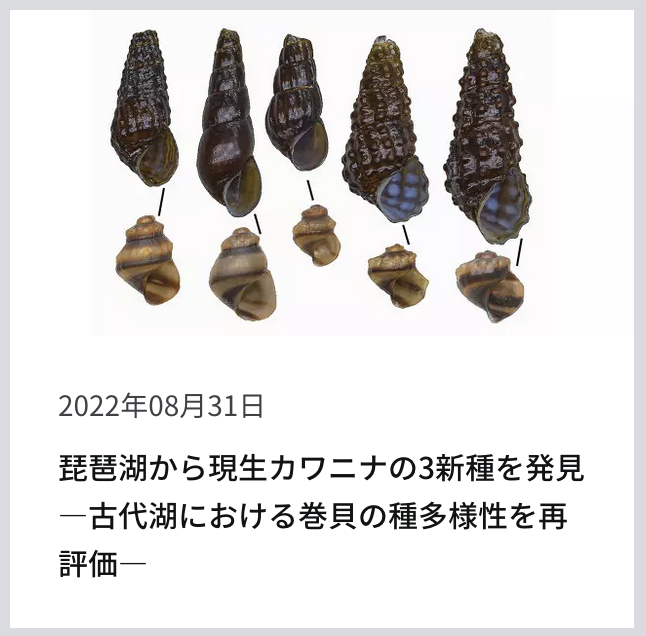 Yusuke Fuke's Website