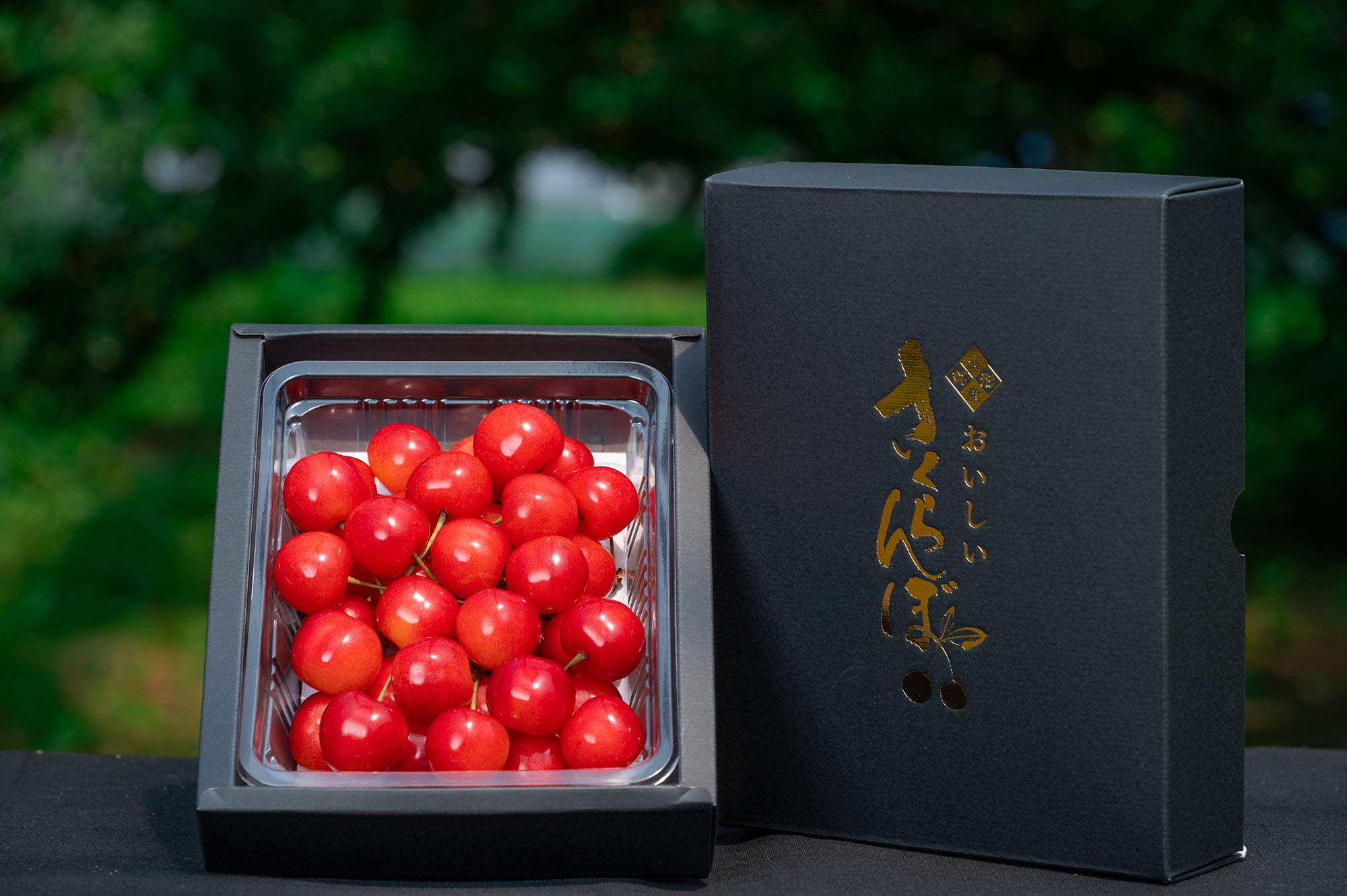 山形セレクション認定品 さくらんぼ 佐藤錦 特秀品 2Lサイズ以上 300g