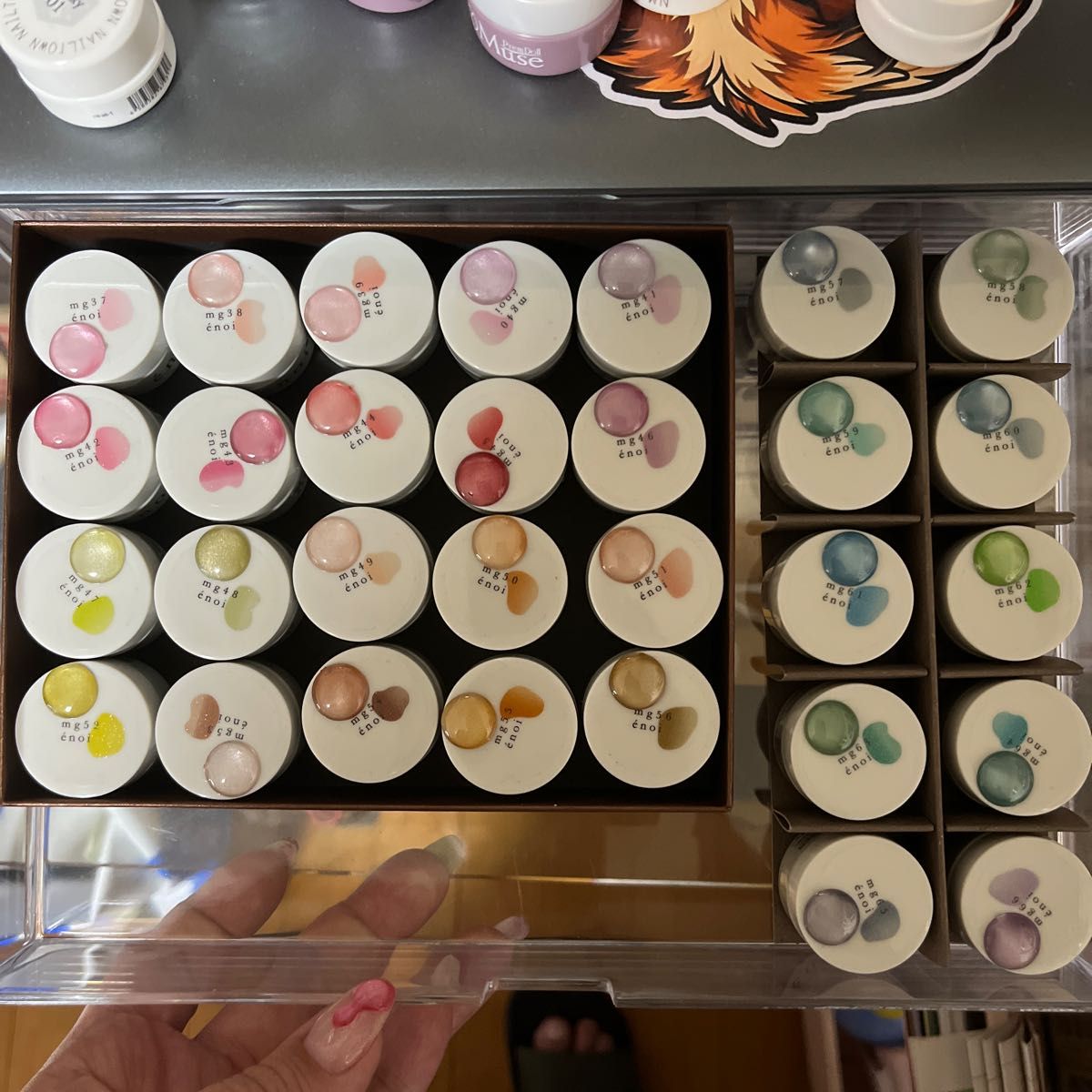 大人気 エノイ enoi マグネット プランパーマグ30色＋マロンマグ20色