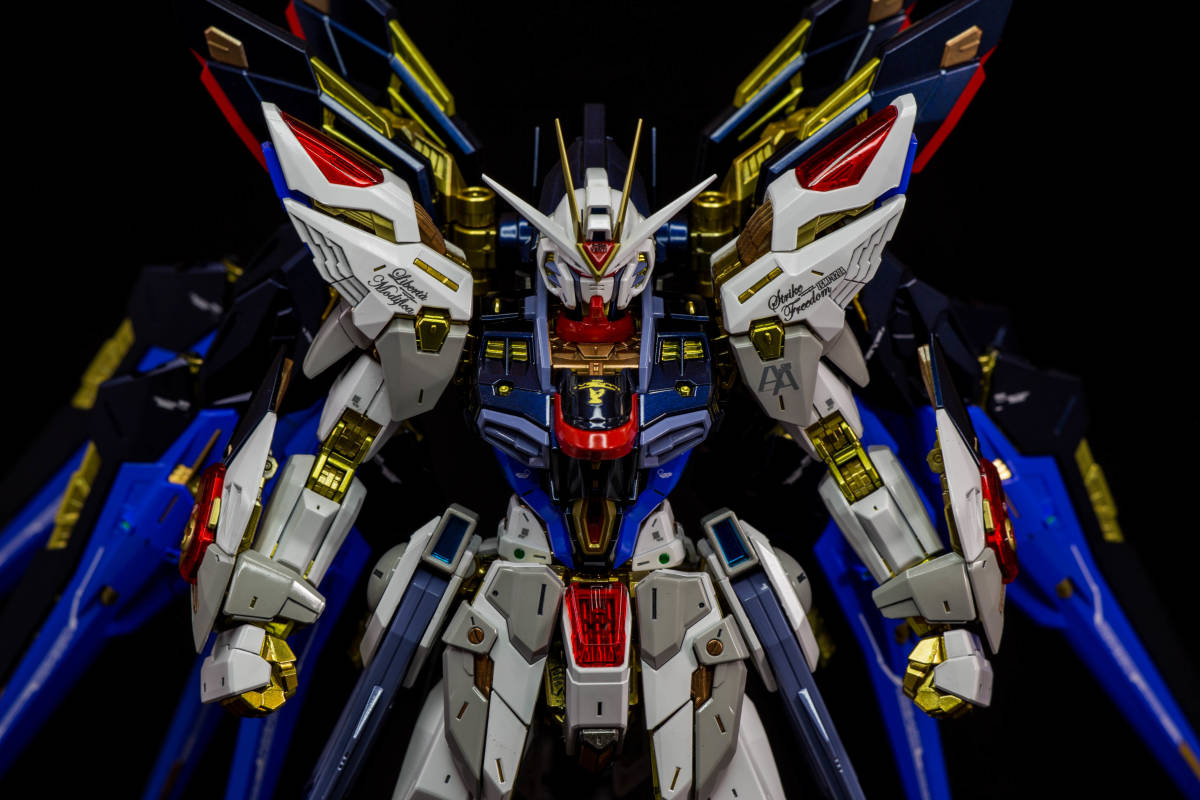 Yahoo!オークション - MGEX 1/100 ストライクフリーダムガンダム 全塗