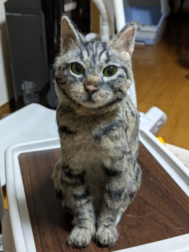 るなねこ 羊毛フェルト リアル オーダーページ | iichi 日々の暮らしを
