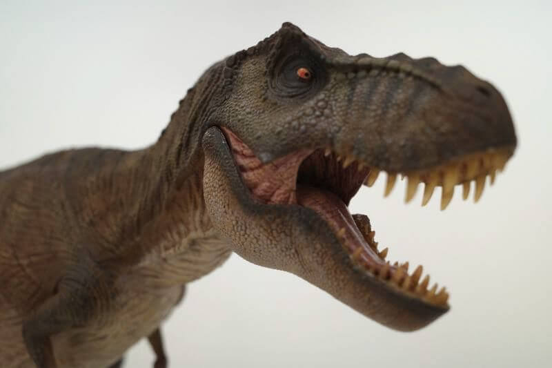 ティラノサウルス（Nanmu Studio）レビュー | 大人の恐竜模型館