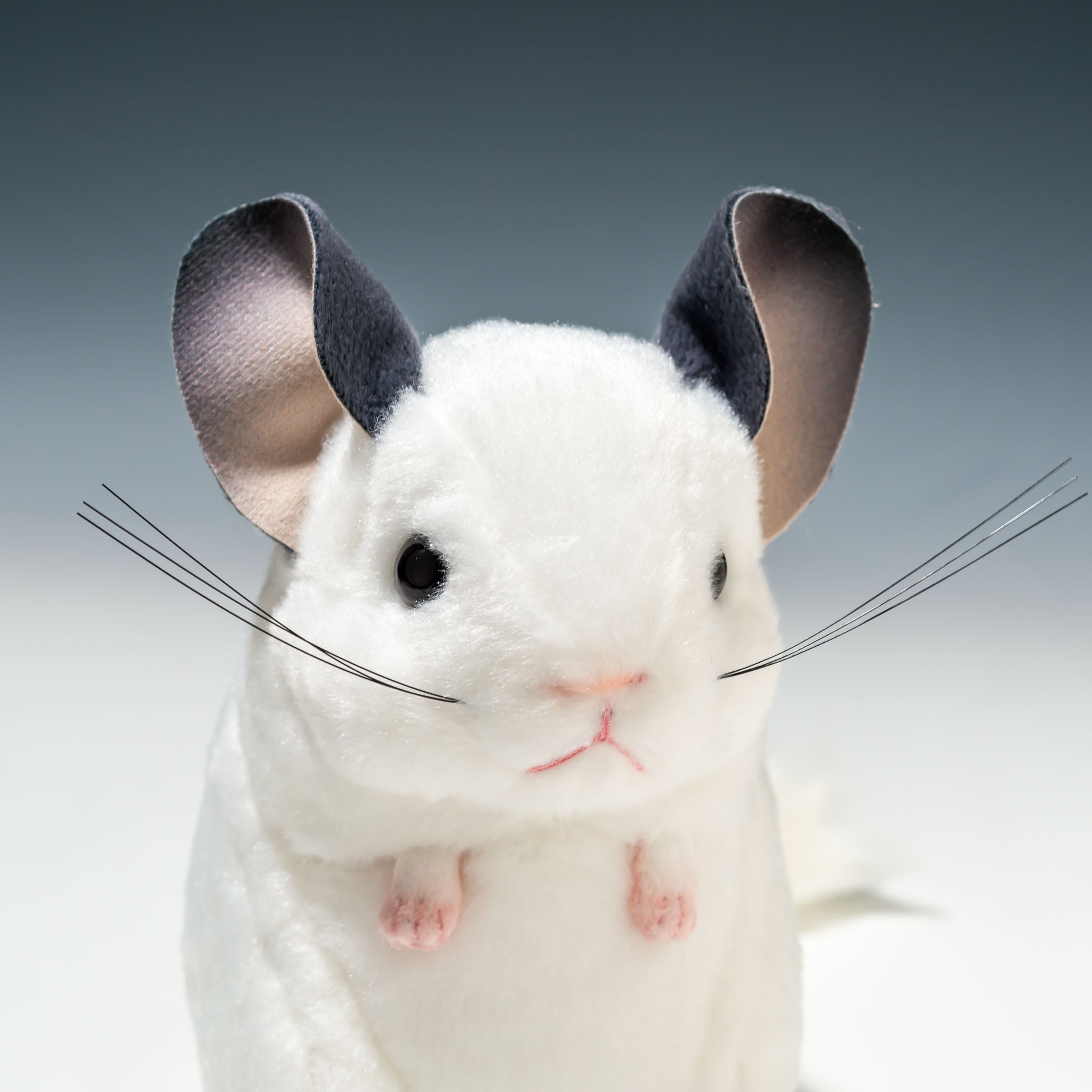 吉徳 ぬいぐるみ りくのなかまたち チンチラ 180221 - エステルノ