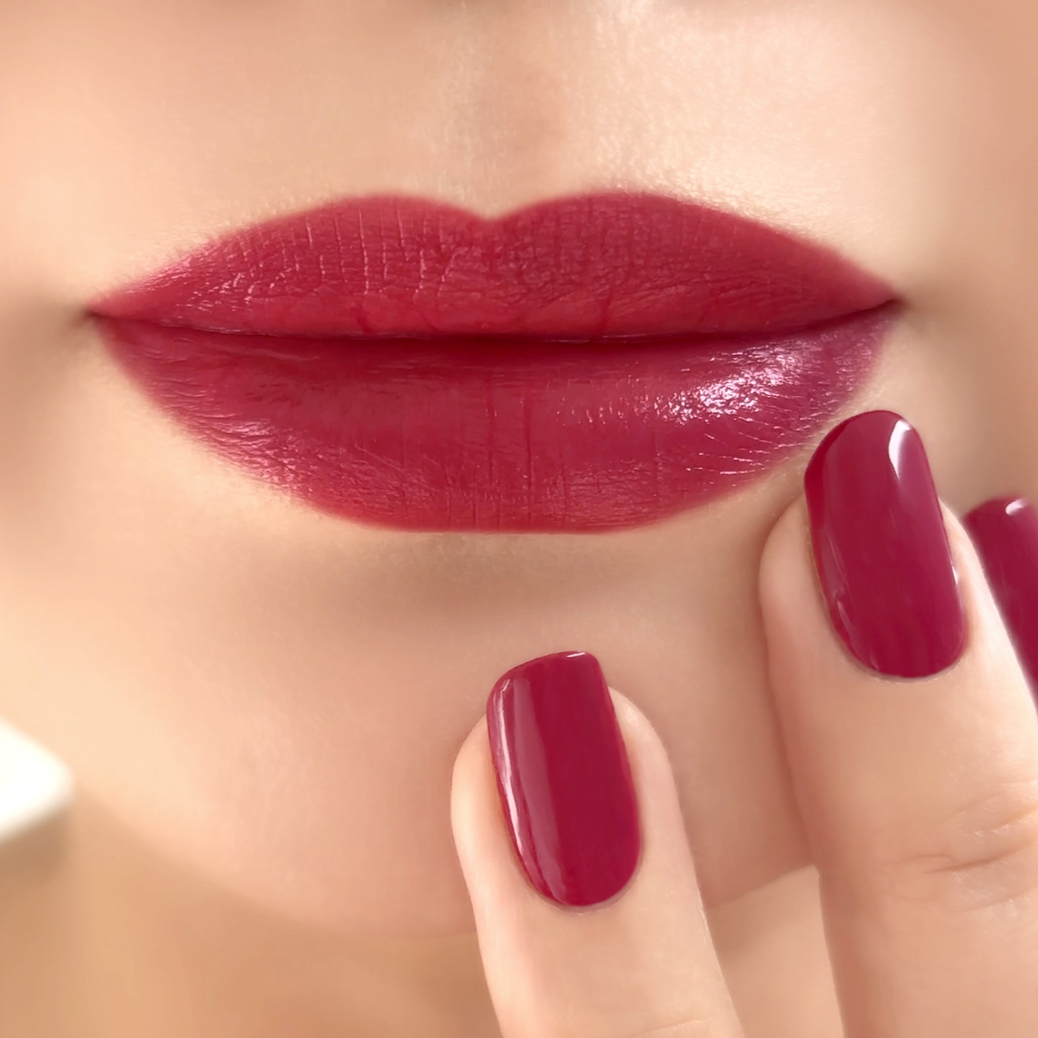 USUGUMO BOX】FRANGES DIVINES×Causette.Joli D6