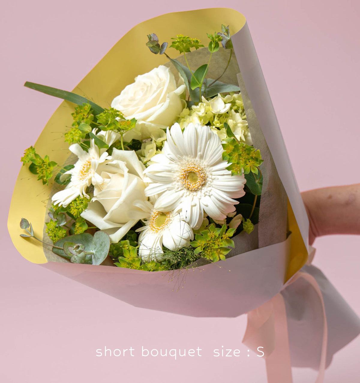 bq-g0033-s-01n_1200x.jpg?v=