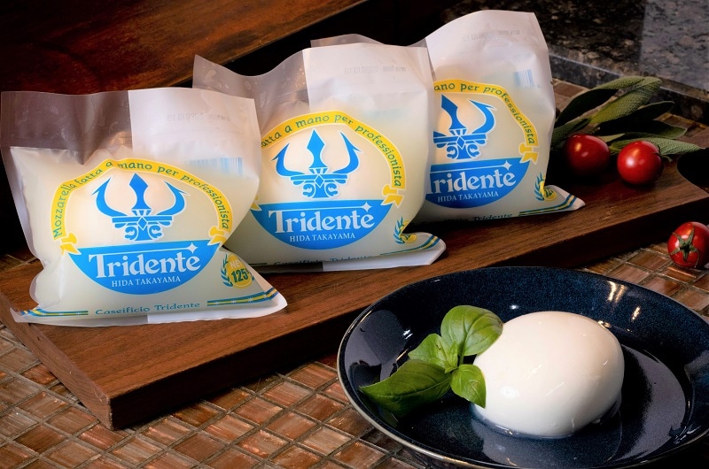 トリデンテ セレクションS (M3R2B1)(セレクションS): 岐阜東桜