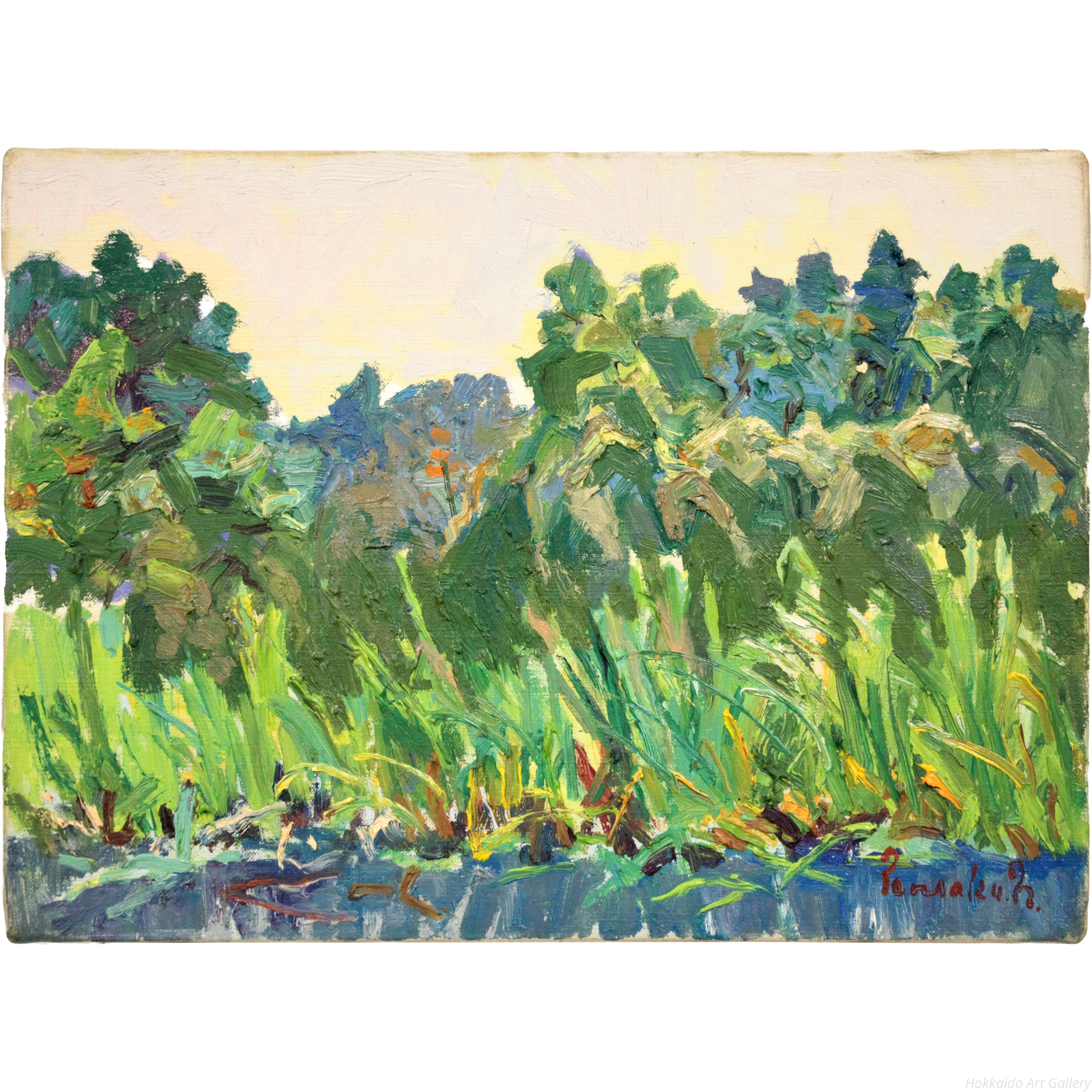 中村善策 『葦むら』 油彩画 - 北海道画廊