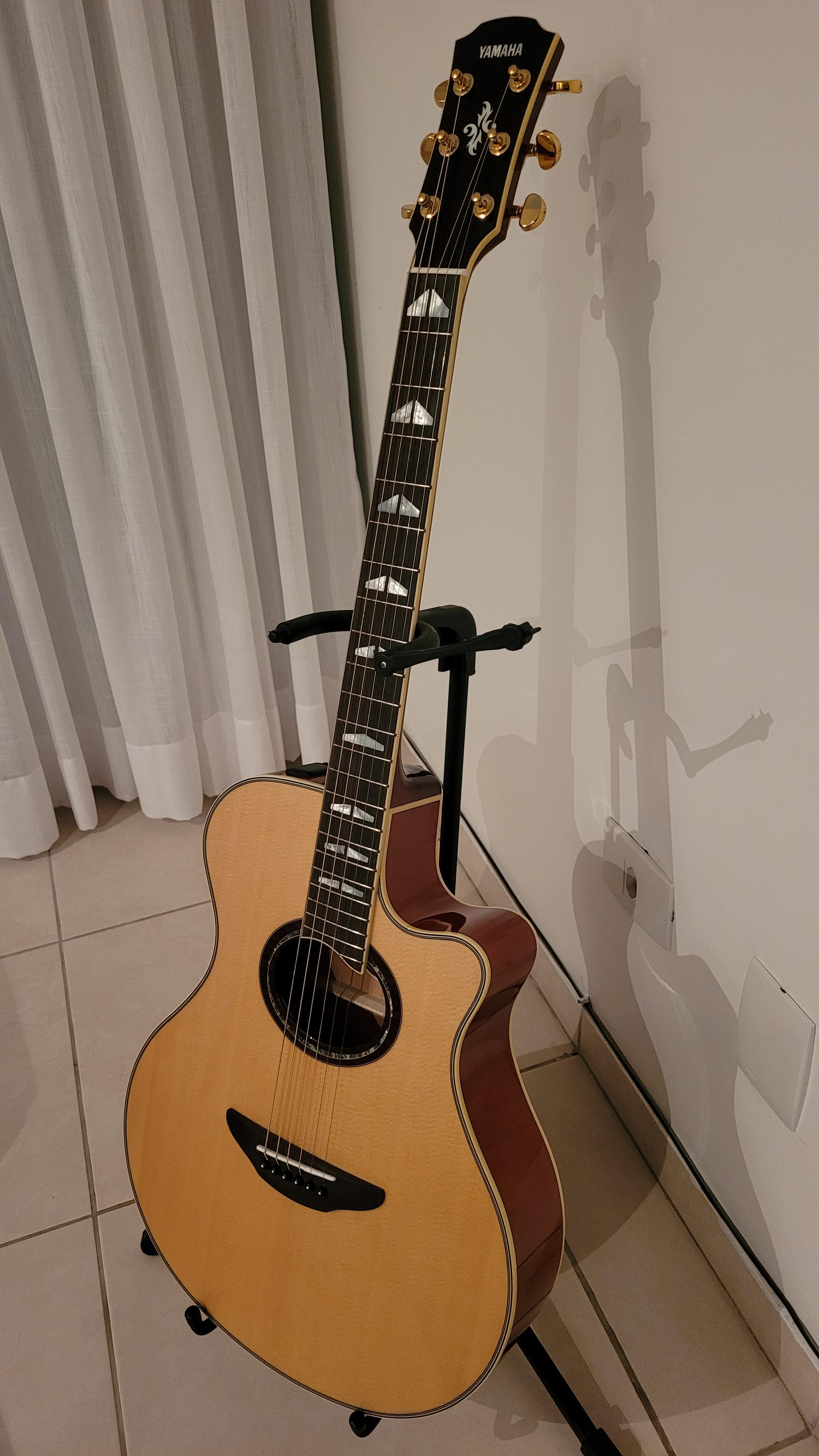 Yamaha APX1000 - Pretty hard to find. Does Yamaha even make these