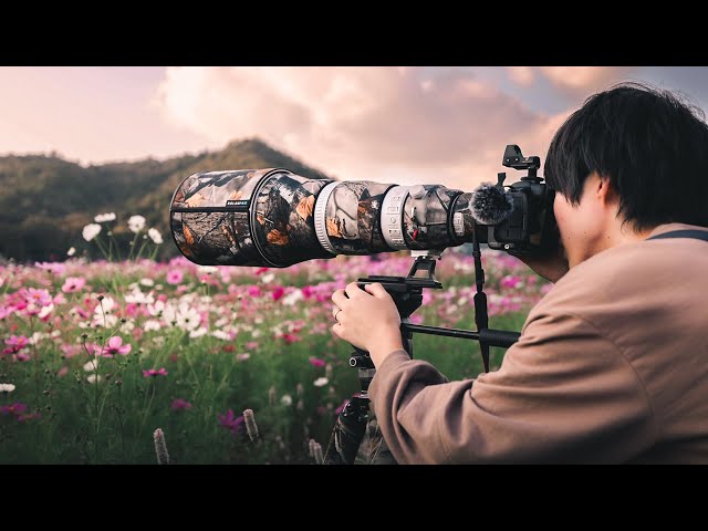 200万円かけて渾身の一枚を狙ってみたら・・・ - YouTube