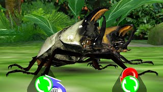 アーケード] 甲虫王者ムシキング - ティティウスシロカブト X グラント