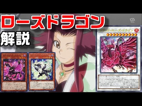 ローズ・ドラゴン」解説！2021年最新強化！十六夜アキの植物＆ドラゴン