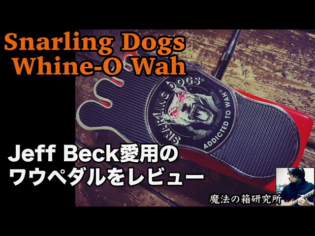 Jeff Beck's favorite wah pedal! Review Snarling Dogs Whine-O Wah