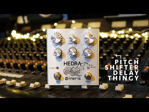The Pitch-Shifting Delay Thingy - Meris Hedra - YouTube