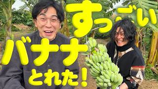 沖縄のうますぎるバナナ農園と絶景ヴィラに来た。【9番街レトロ
