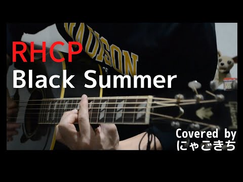 レッチリ新曲/Black Summer Red Hot Chili Peppers/Cover RHCP