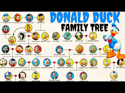 The Donald Duck's Family Tree [Duck Family] - YouTube
