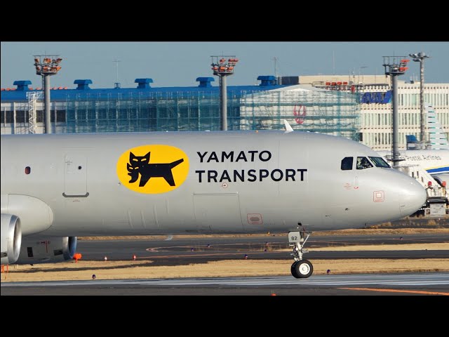 Yamato Transport Airbus A321P2F JA82YA Takeoff from Narita 16R