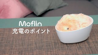 Moflinをハウスに置いて充電するとき、うまく充電できません。 | CASIO