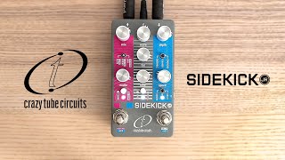 Crazy Tube Circuits Sidekick JR - Delay, Reverb, Modulation - YouTube