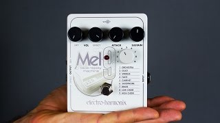 Ambient Guitar Gear Review - Electro-Harmonix Mel9 Tape Replay