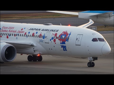 JAL EXPO 2025 Osaka Livery Boeing 787-8 JA823J Landing at Tokyo