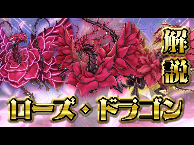 テーマ解説】ローズ・ドラゴンデッキの構築と回し方【遊戯王マスター