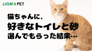 ニオイをとる砂 ウンチもオシッコも臭わない袋｜ライオンペット株式会社